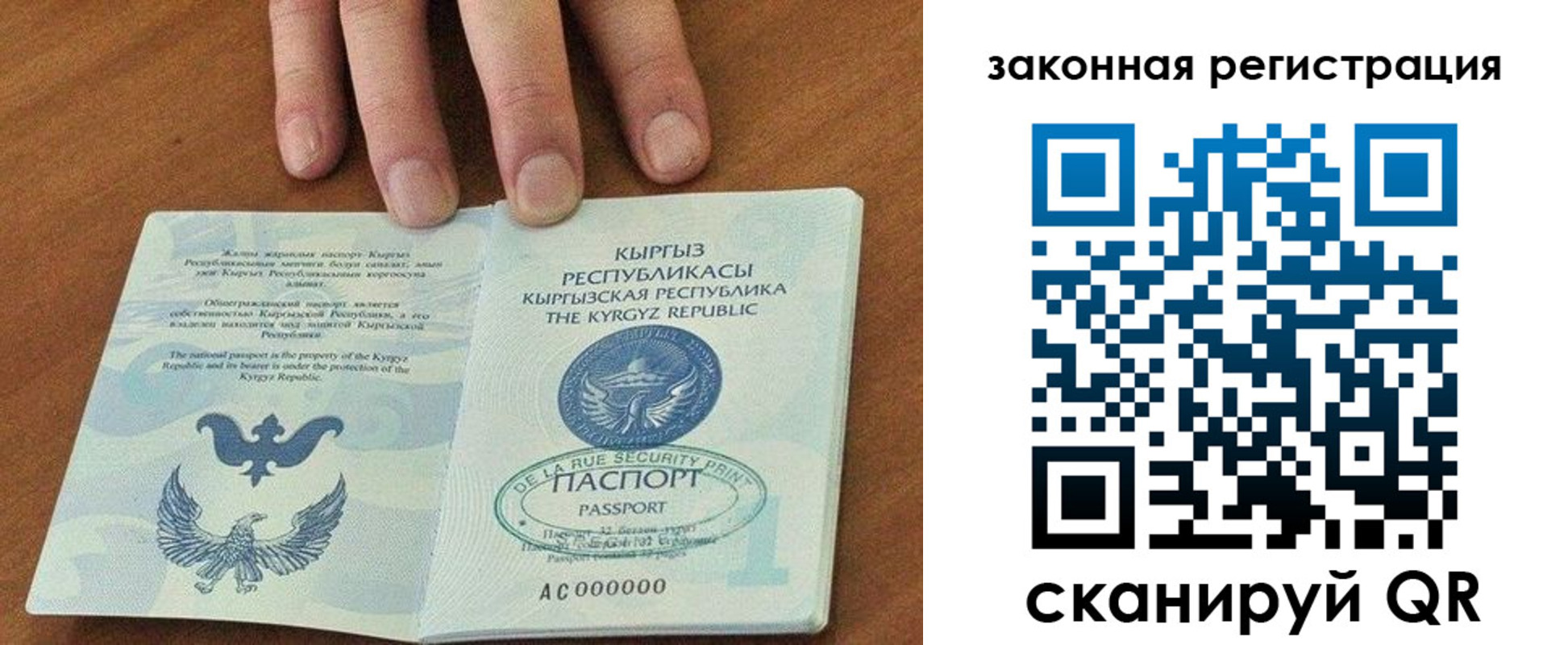 прописка гарантия в Гвардейске